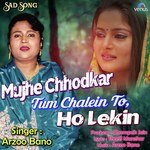Arzoo Bano Songs MP3 Download