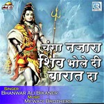 Bhanwar Ali