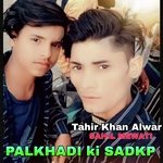 Palkhadi Ki Sadkp - Tahir Khan Alwar Song Download