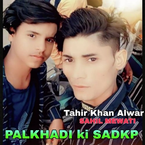 Palkhadi Ki Sadkp Tahir Khan Alwar MP3 Download