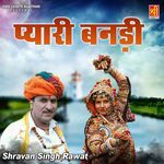 Pyari Banadi Album Download