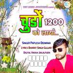 Chudo 1200 Ko Layo - Paplesh deewana Song Download